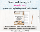 Done for you Lead Generation for Coaches : Positive Self-Talk edition (Lead magnet, Email campaign, IG captions, IG reel scripts, IG images included)